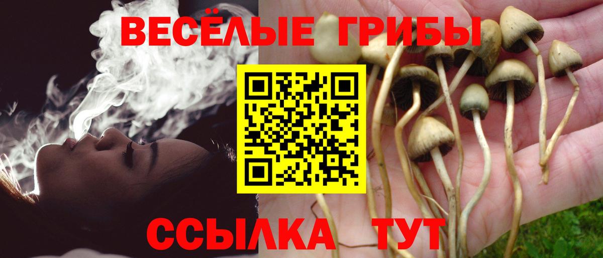 Псилоцибиновые грибы Psilocybe  Ишимбай 